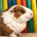 Guinea Pig Network Discord Server Banner