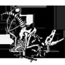 Dragon Challenge Discord Server Banner