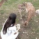 fawn ♡ Discord Server Banner