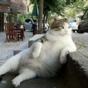 Yinghyi Discord Server Banner