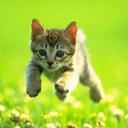 yo server Discord Server Banner