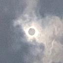 MuseumOfMonstrosities Discord Server Banner