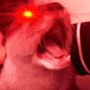 Komunita Vydrísků Icon