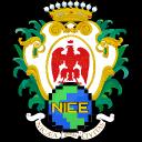 W/place Nice Discord Server Banner