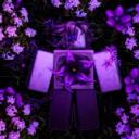 The Nightshades Discord Server Banner