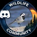 Wildlife Community Discord Discord Server Banner