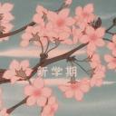 Sakura´s Icon