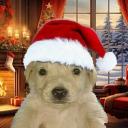 Standoff2 Discord Server Banner