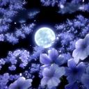 Moonfall 18+ Discord Server Banner