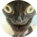 SIGNAL CFGS Discord Server Banner