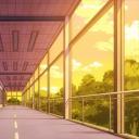 Yuuei University (18+ MHA RP) Icon