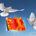 Friends-Free-Asia Discord Server Banner