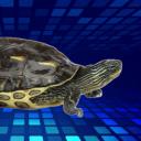 Turtoli's Blox Fruit Server Discord Server Banner