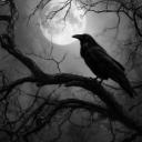 The Midnight Quill Discord Server Banner