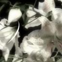 KRYPT Discord Server Banner