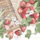 Sweetberry Discord Server Banner