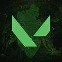 VALORANT Romania Discord Server Banner