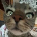 cozy corner! 🤍 Discord Server Banner