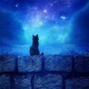 Warriors: Forgotten Origins Discord Server Banner