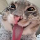 Rigby Group chat Icon