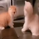 /genuinely ₊˚・ Discord Server Banner