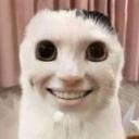 Megatism Discord Server Banner