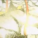 Made In Heaven Discord Server Banner