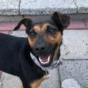 Kavloy Discord Discord Server Banner