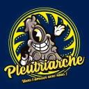 Pleutriarche Discord Server Banner