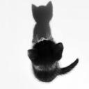 Lvers ⋆🐾° Discord Server Banner