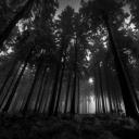 Enigma Discord Server Banner