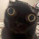 Hangout server! Discord Server Banner