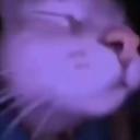 Misu Discord Server Banner