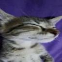 Vũ Trụ MSB (Support Server) Discord Server Banner