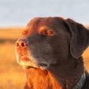 Cooked St0ck Discord Server Banner