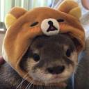 The Animal Cave Discord Server Banner