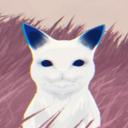 The Illusive Realm Discord Server Banner