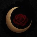 Sanctury of Shadows Icon