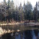 TR Roblox & Sohbet Discord Server Banner