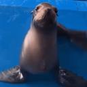 TeamHYPER Discord Server Banner