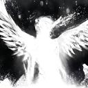 ★࿐city of ; h4ven Discord Server Banner