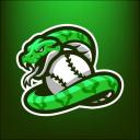 ViperGames Discord Server Banner