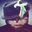 Meowcord Discord Server Banner