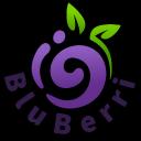 BluBerri Discord Server Banner