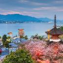 Server 🌸 桜カフェ — ゆるっと日本交流 Discord Server Banner