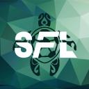 Turtle Football League Discord Server Banner