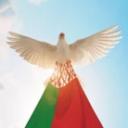 Friends-Belarus-Support Discord Server Banner