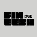 Fineesh Esports Discord Server Banner
