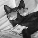 CatLand Discord Server Banner