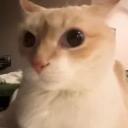 Rosendo(the growening!!!):3 Discord Server Banner